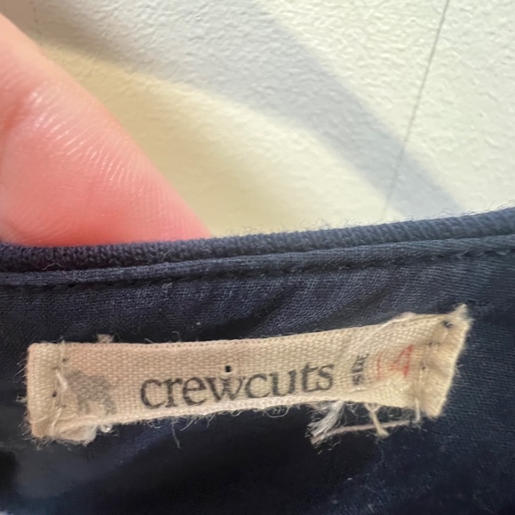 J. Crew Girls Holiday Dress BUNDLE size 14, TWO DRESSES - Picture 11 of 16